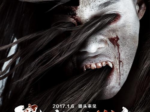 办张不动产证